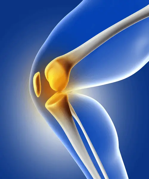 Cirugia de columna
